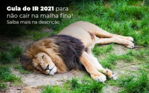 Guia Ir 2021 Para Nao Cair Na Malha Fina Saiba Mais Na Descricao Post 1 Organização Contábil Lawini - Contabilidade em São Paulo | Aficon Organização Contábil